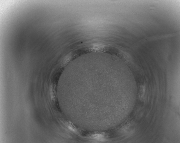 X0000062150236200512121316