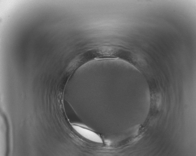 X0000062150237200512121316