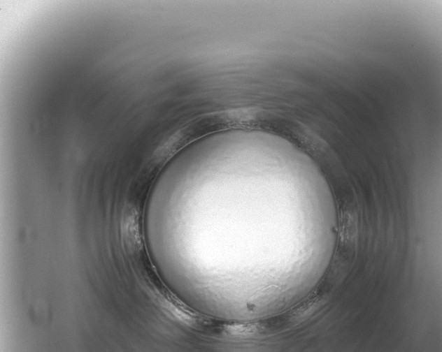 X0000062150238200512121316