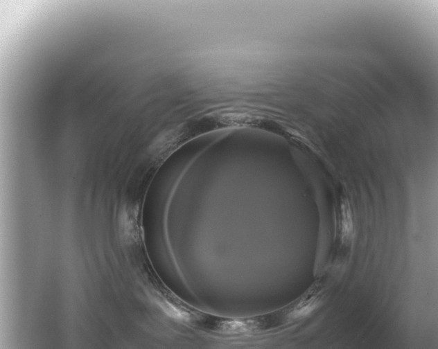 X0000062150239200512121316