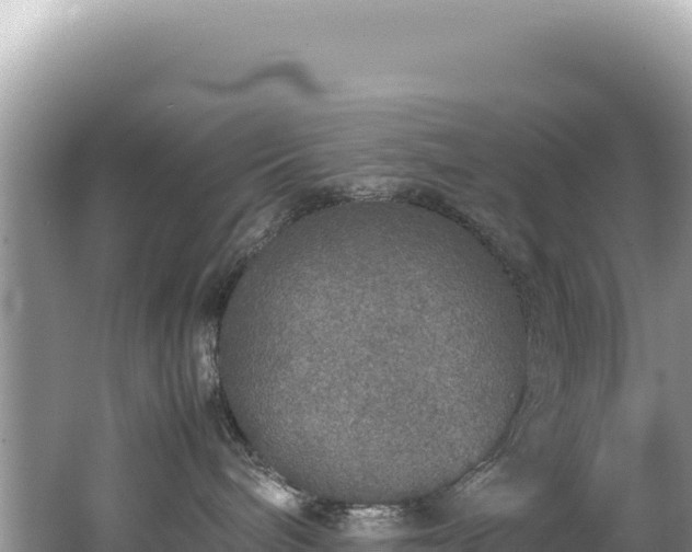 X0000062150240200512121316