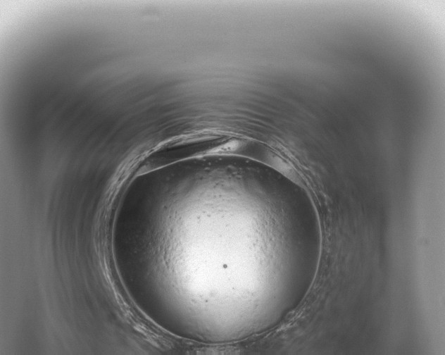 X0000062150241200512121315