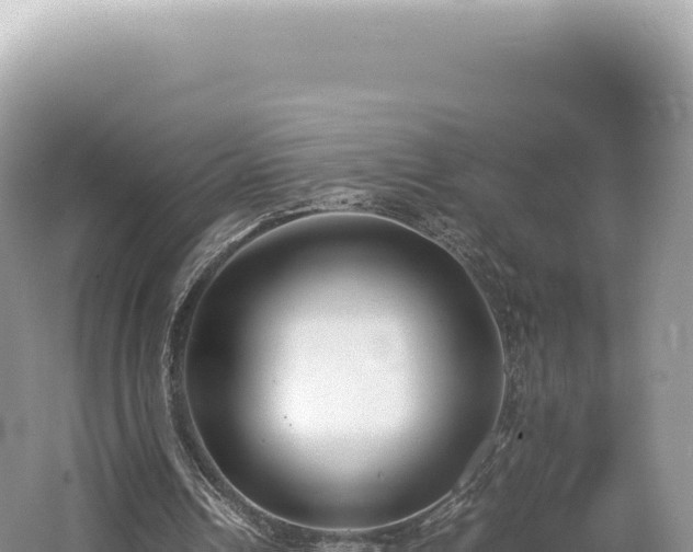 X0000062150242200512121315