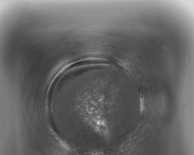 X0000062150243200512121315