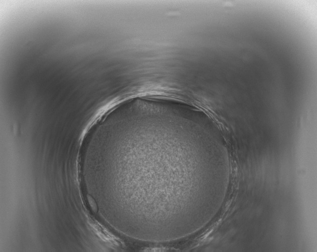 X0000062150244200512121315