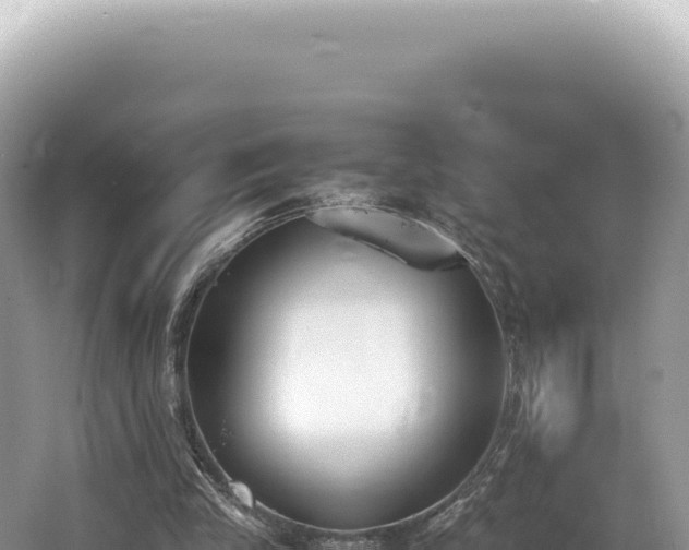 X0000062150245200512121315