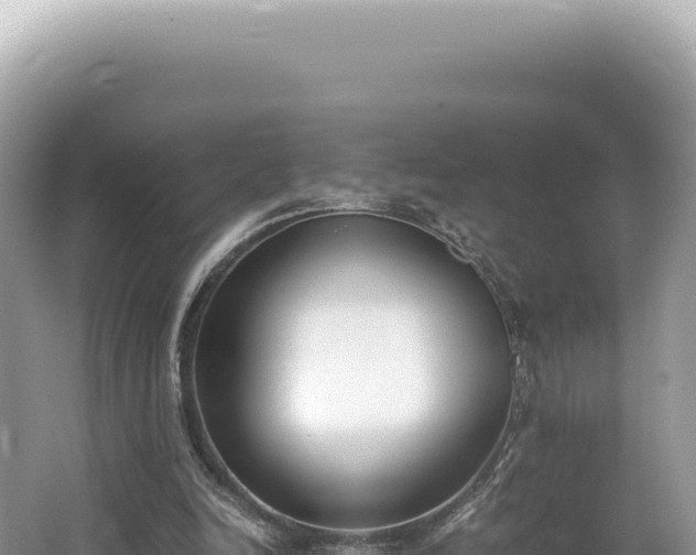 X0000062150246200512121315