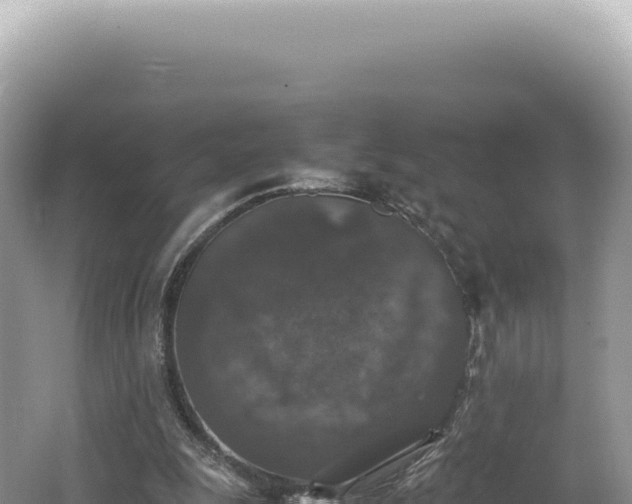 X0000062150247200512121315