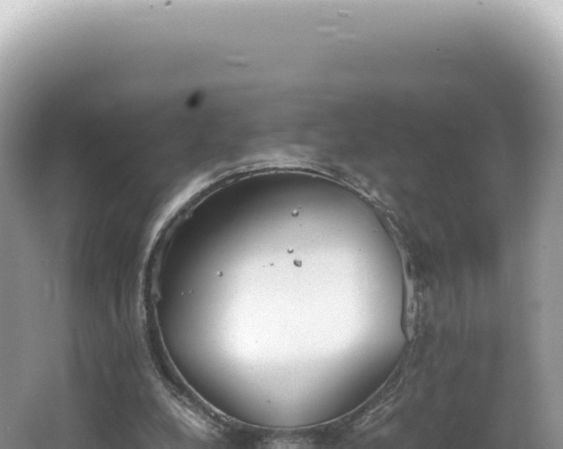 X0000062150248200512121315