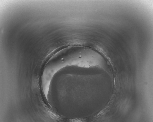 X0000062150249200512121315