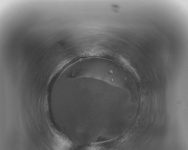 X0000062150250200512121315