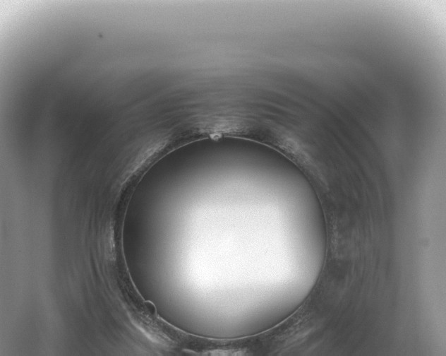 X0000062150251200512121315