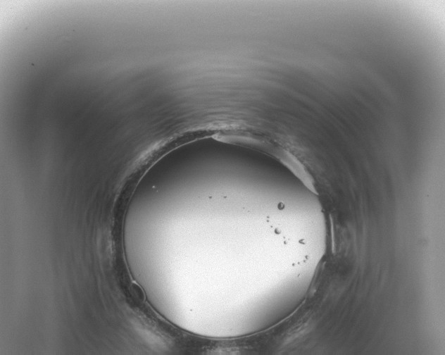 X0000062150252200512121315