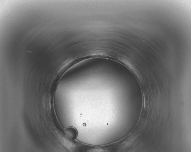 X0000062150253200512121315