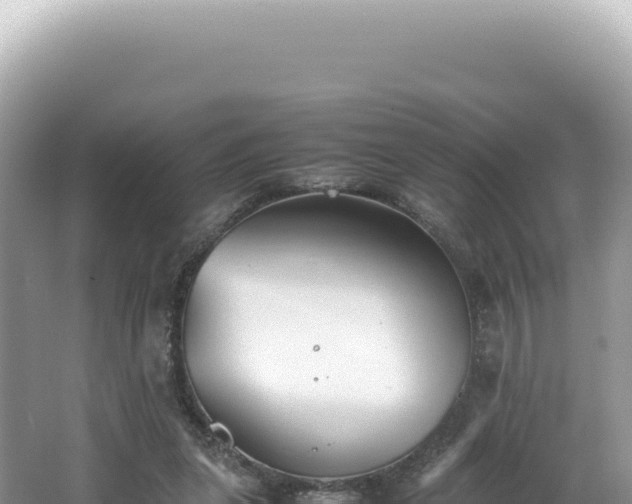 X0000062150255200512121315