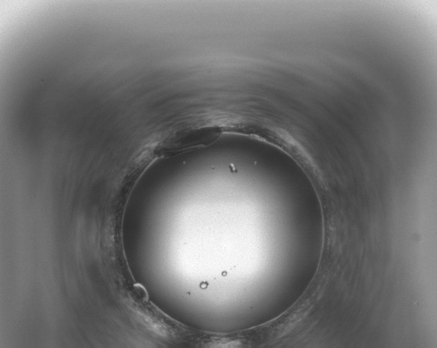 X0000062150257200512121315