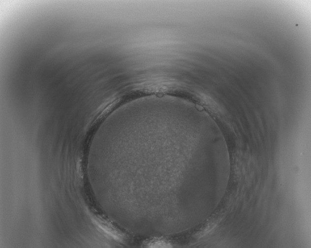 X0000062150258200512121315