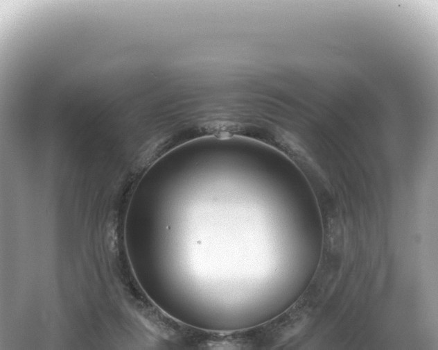 X0000062150259200512121315