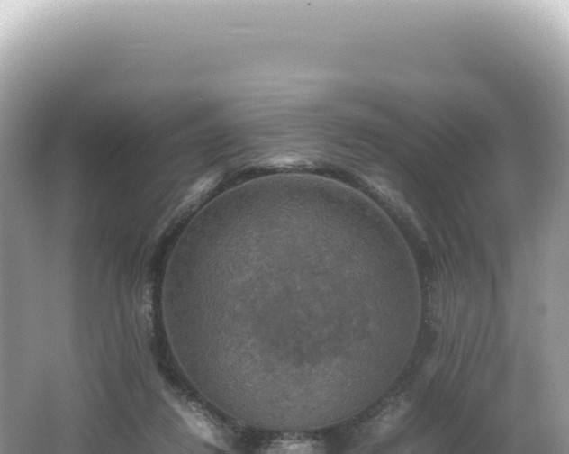 X0000062150260200512121315