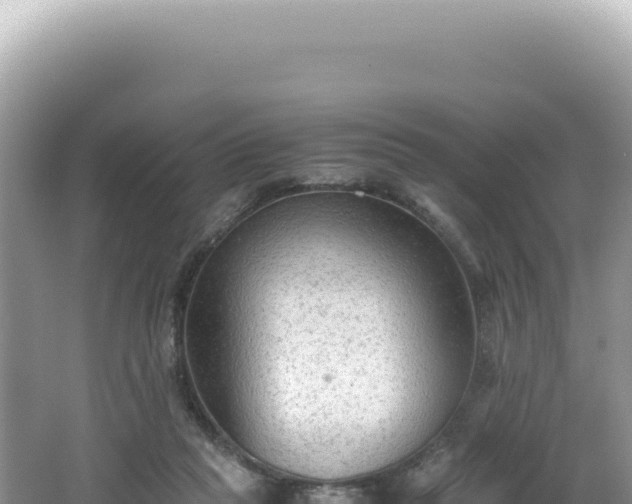 X0000062150261200512121315