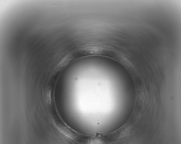 X0000062150262200512121315