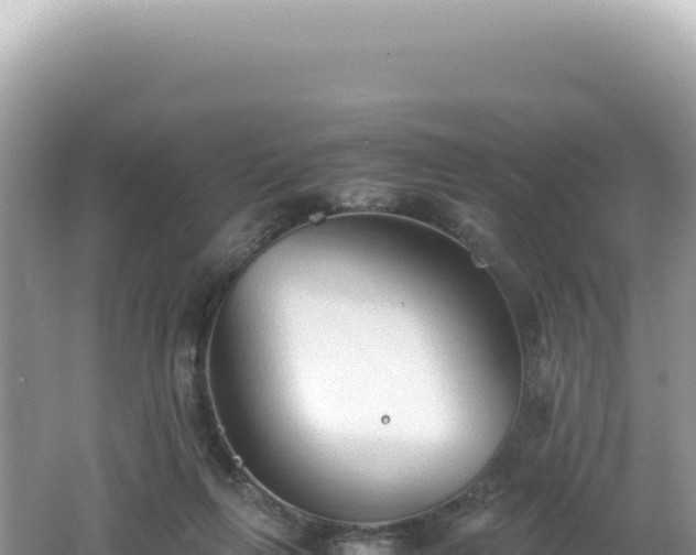 X0000062150263200512121315