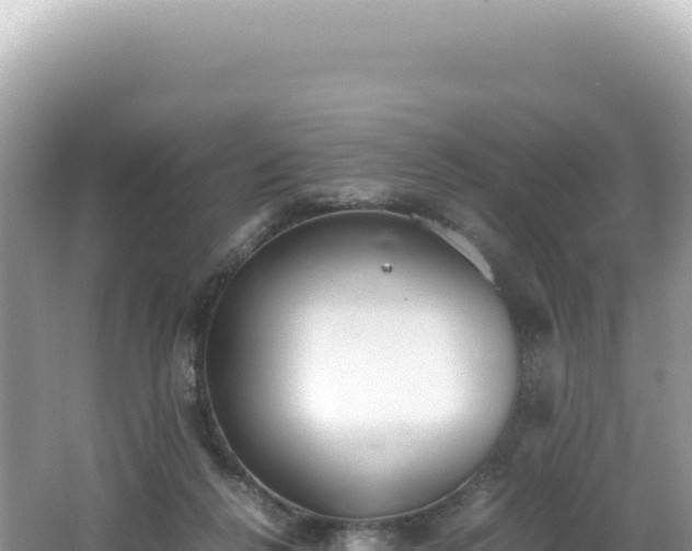 X0000062150264200512121315