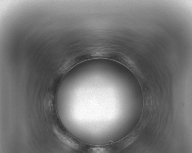 X0000062150265200512121315