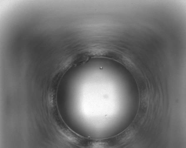 X0000062150268200512121315