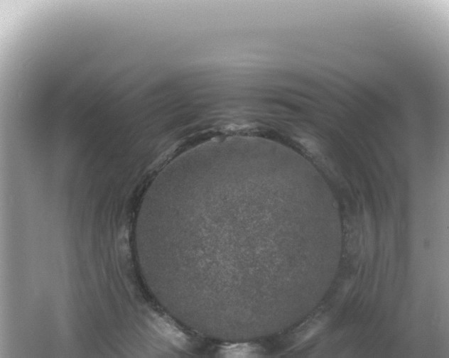 X0000062150269200512121315