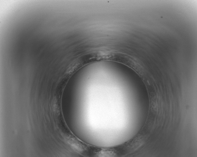 X0000062150270200512121315