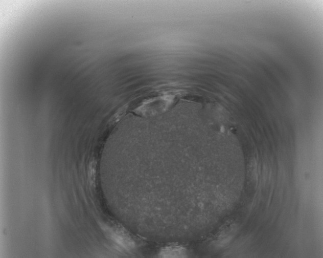 X0000062150271200512121315