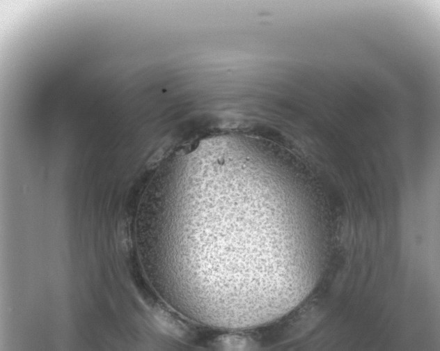 X0000062150272200512121315