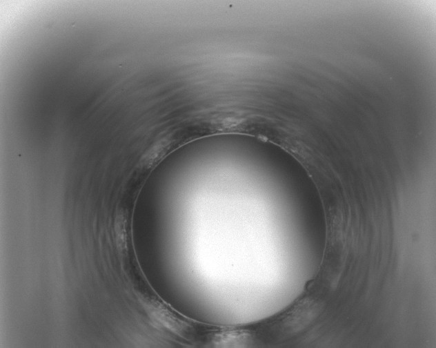 X0000062150274200512121315