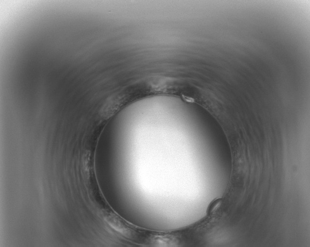 X0000062150275200512121315