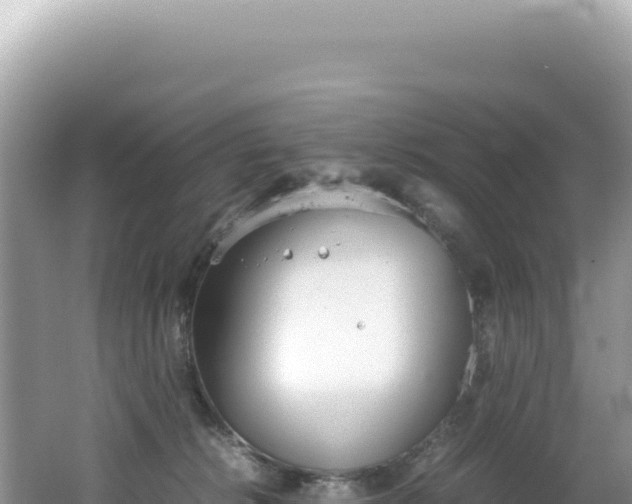 X0000062150276200512121316