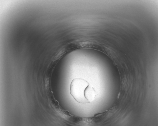 X0000062150278200512121316