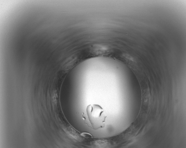 X0000062150279200512121316