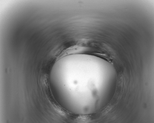 X0000062150280200512121316