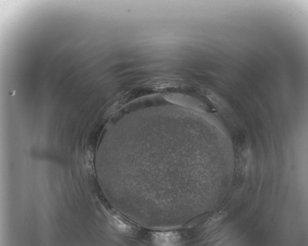 X0000062150281200512121316