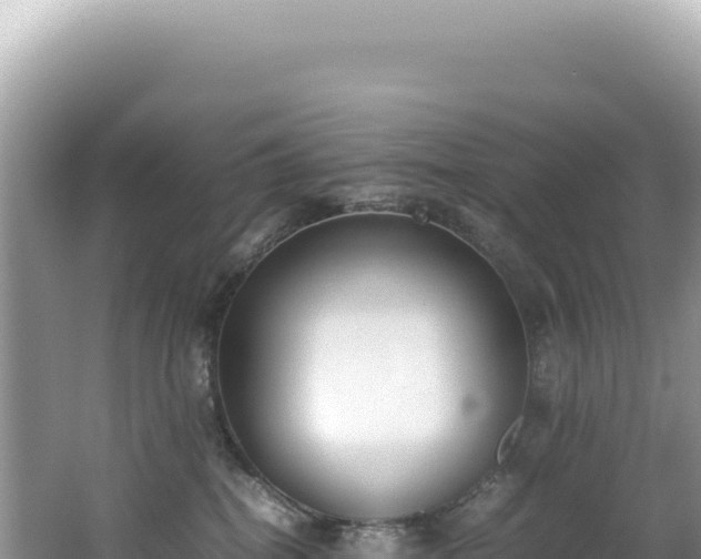 X0000062150282200512121316