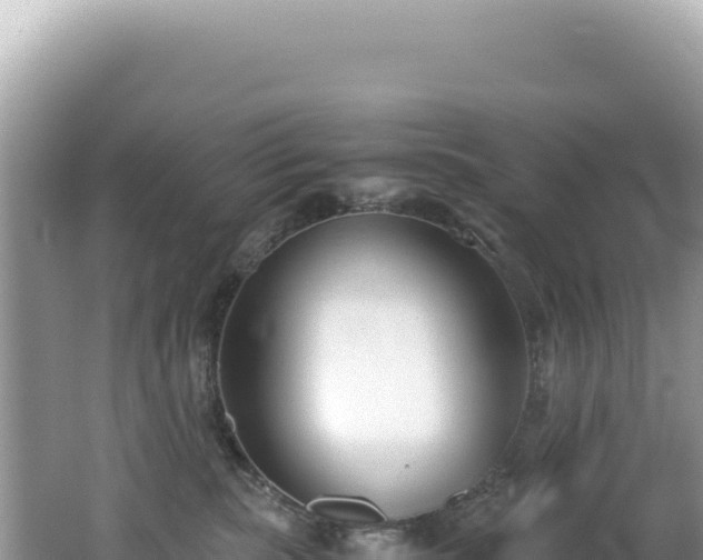 X0000062150283200512121316