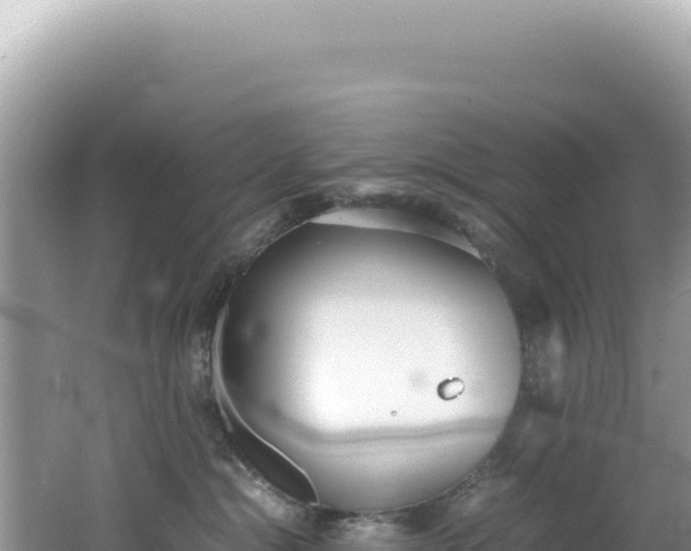 X0000062150284200512121316