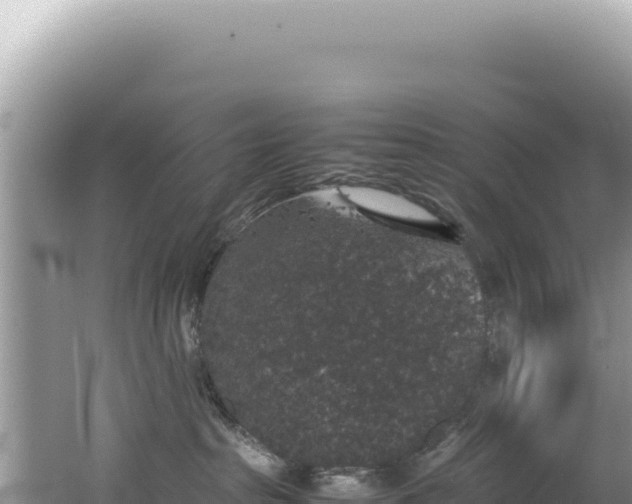 X0000062150285200512121316