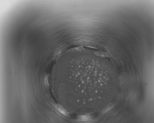 X0000062150286200512121316