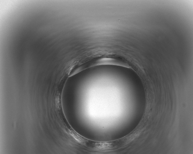 X0000062150288200512121316