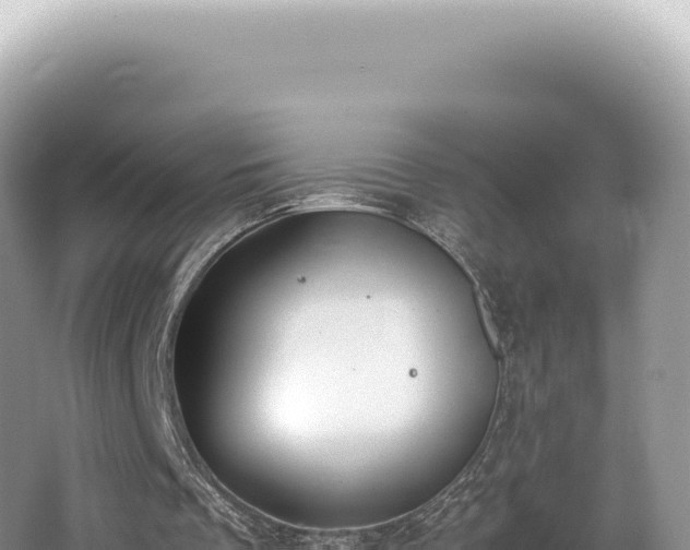 X0000062150289200512121315