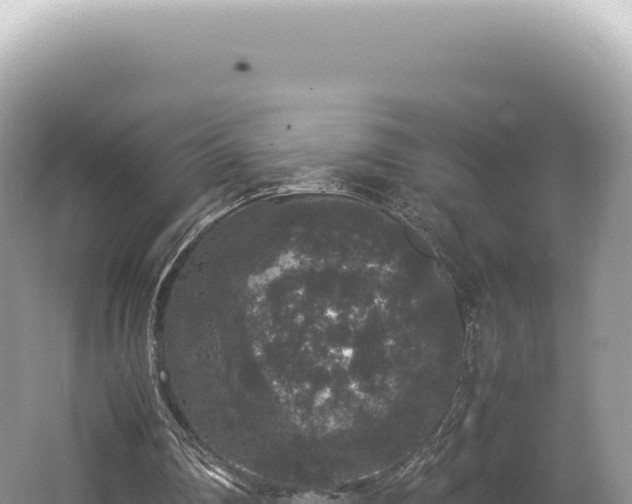 X0000062150290200512121315