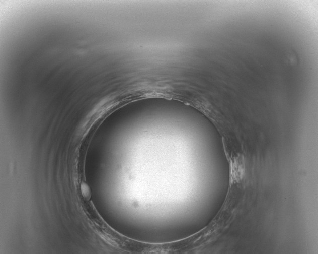 X0000062150291200512121315