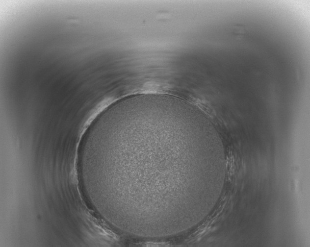 X0000062150292200512121315